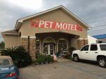 Upscale Pet Motel