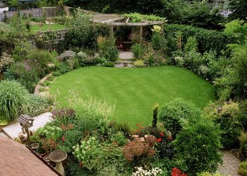 Two Thriving Thurston County Lawn and Garden Stores
