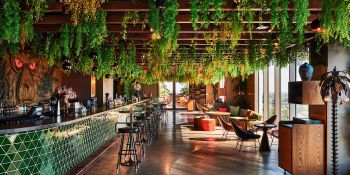 Entertainment & Culinary Delight