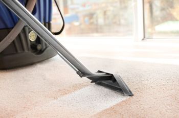 Odor Removal Carpet Cleaning and Restoration Franchise