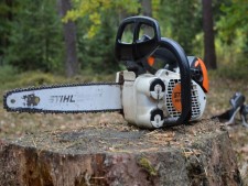 Tree Service - Only 20 Percent Down to Purchase